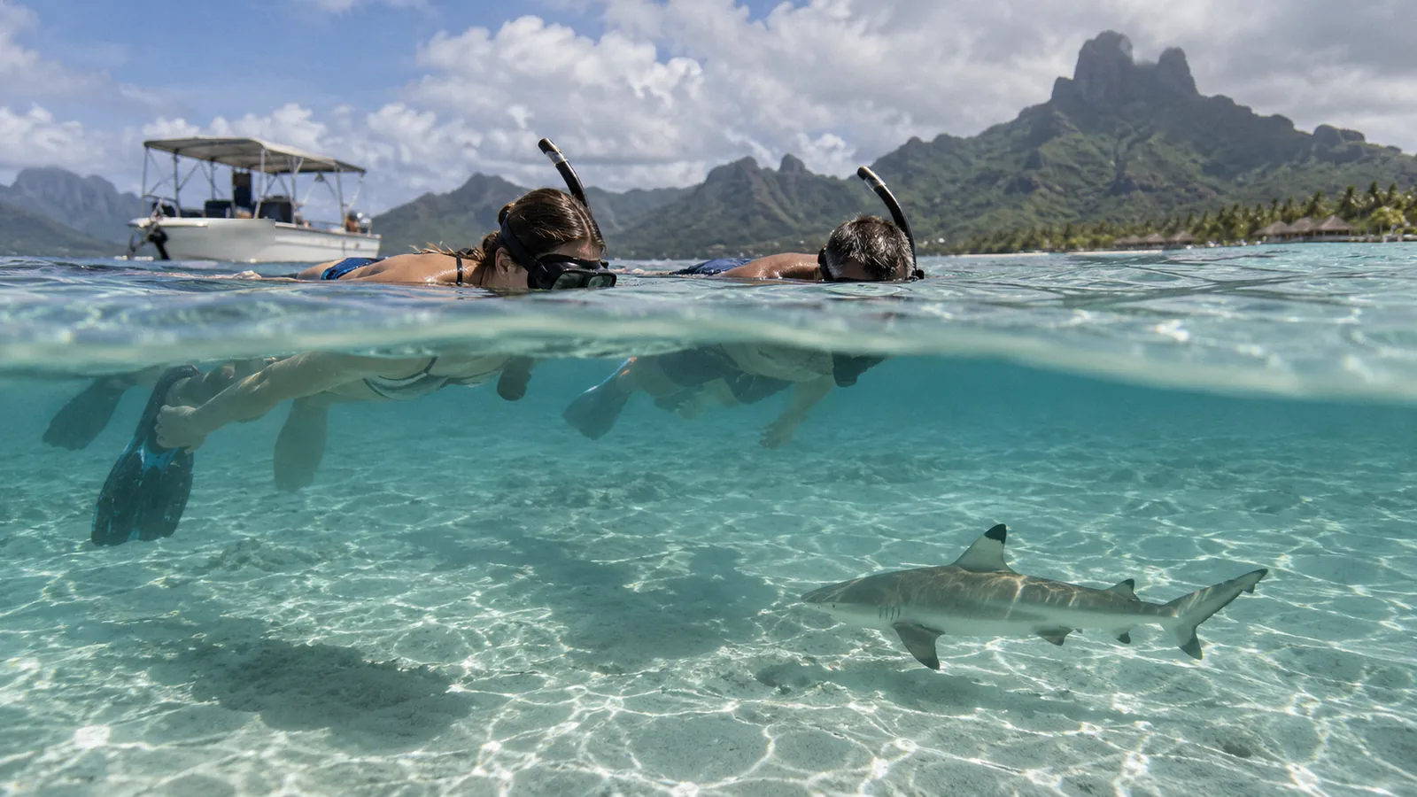 Is Bora Bora Safe? Crime, Sharks, Health & Cyclone Risks (2026)